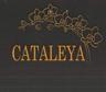 CATALEYA