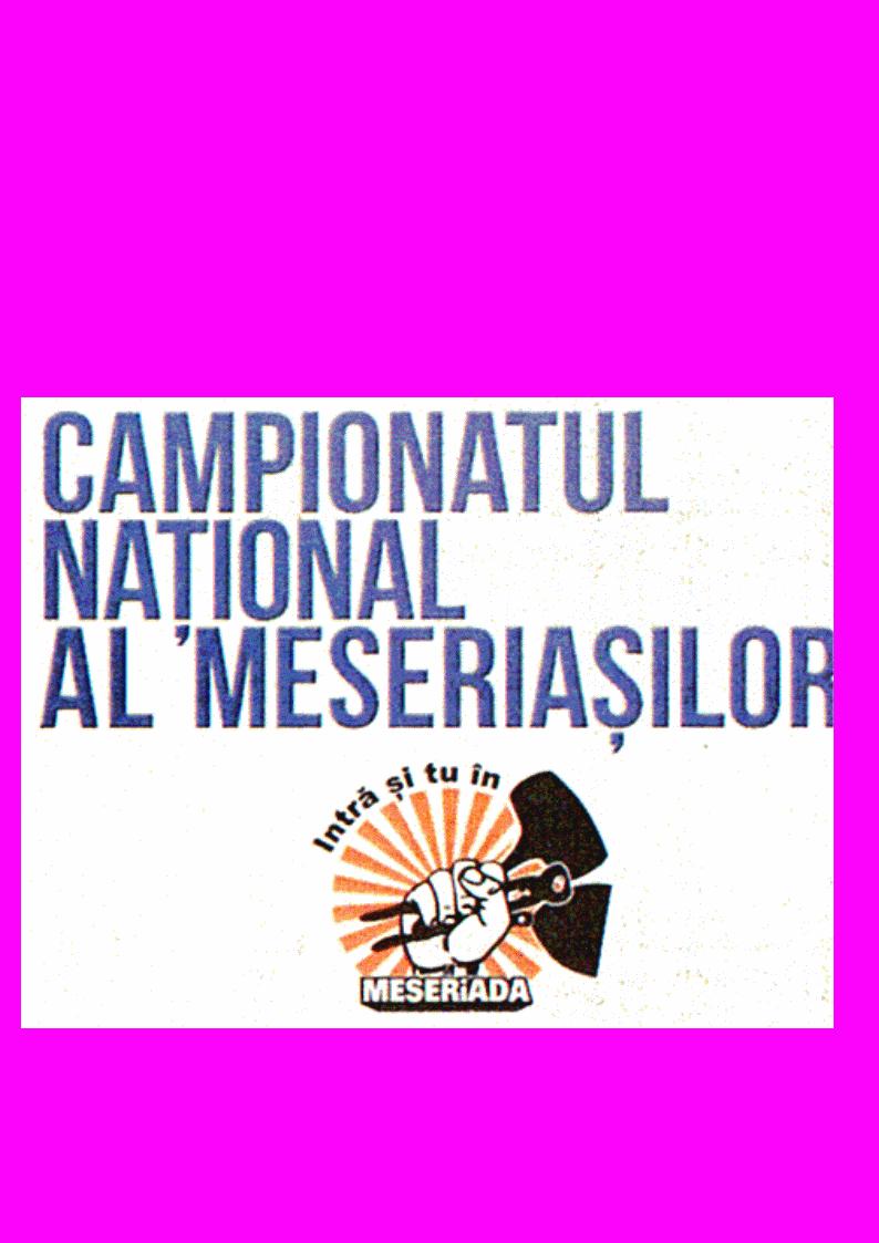 CAMPIONATUL NAȚIONAL AL MESERIAȘILOR Intră și tu în MESERiADA