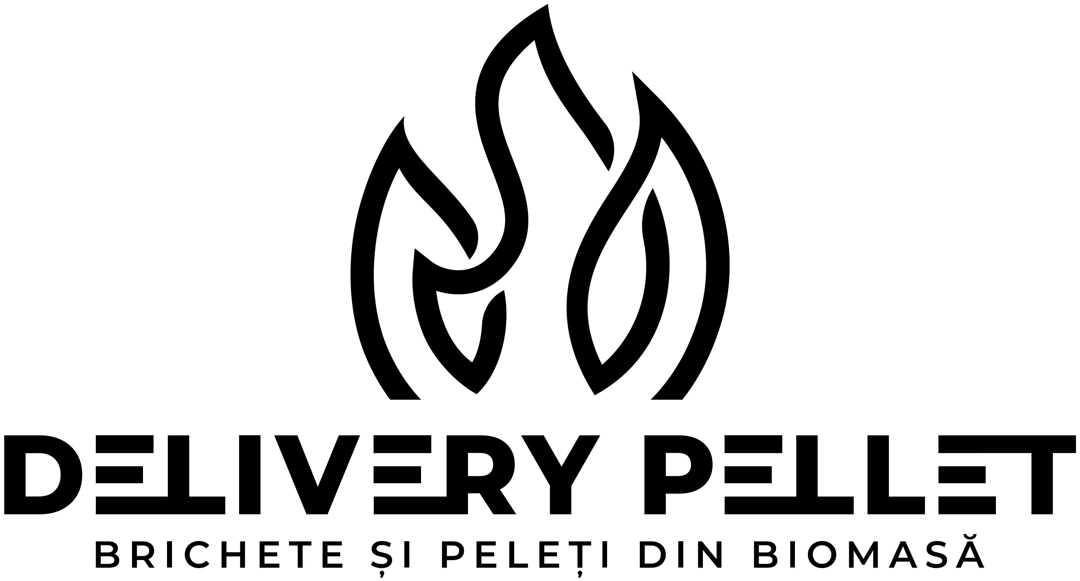 DELIVERY PELLET BRICHETE ȘI PELEȚI DIN BIOMASĂ