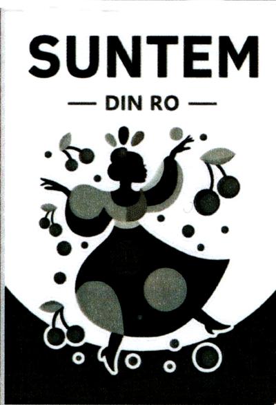 SUNTEM DIN RO