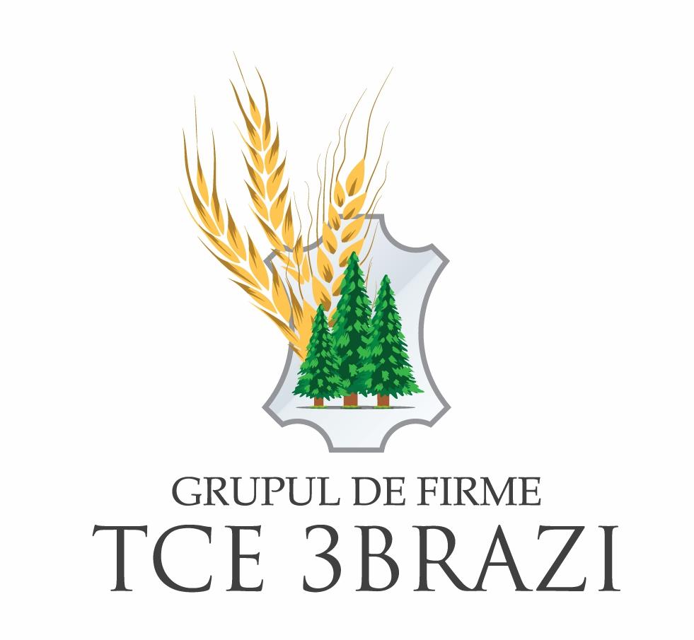 GRUPUL DE FIRME TCE 3 BRAZI