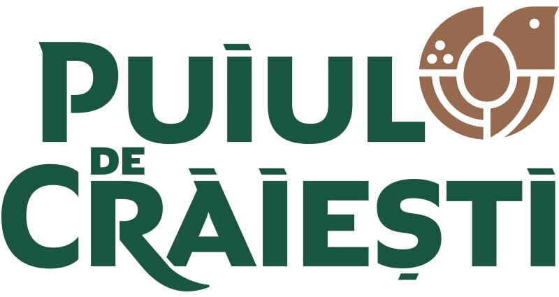 PUIUL DE CRĂIEȘTI