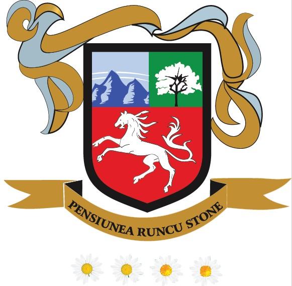 PENSIUNEA RUNCU STONE