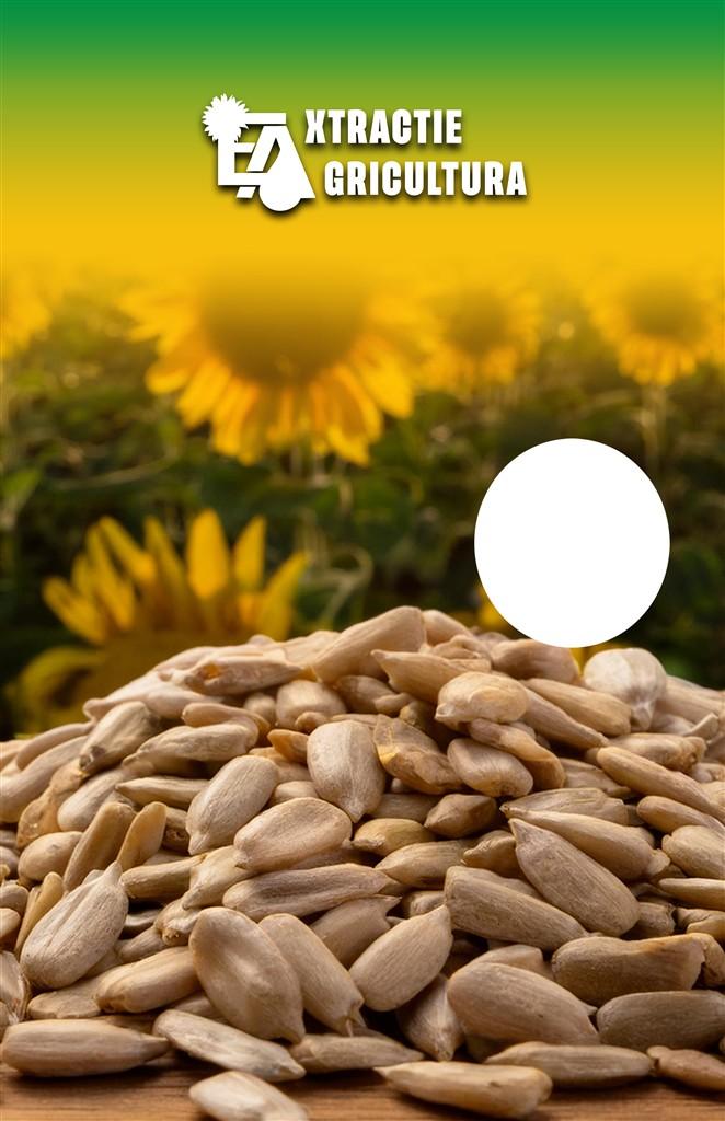 EXTRACTIE AGRICULTURA