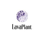 LavaPlant