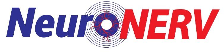 NeuroNERV
