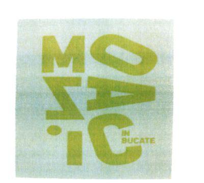 MOZAIC IN BUCATE