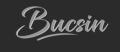 Bucsin