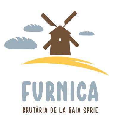 FURNICA BRUTĂRIA DE LA BAIA SPRIE
