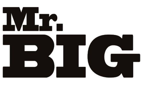 Mr. BIG