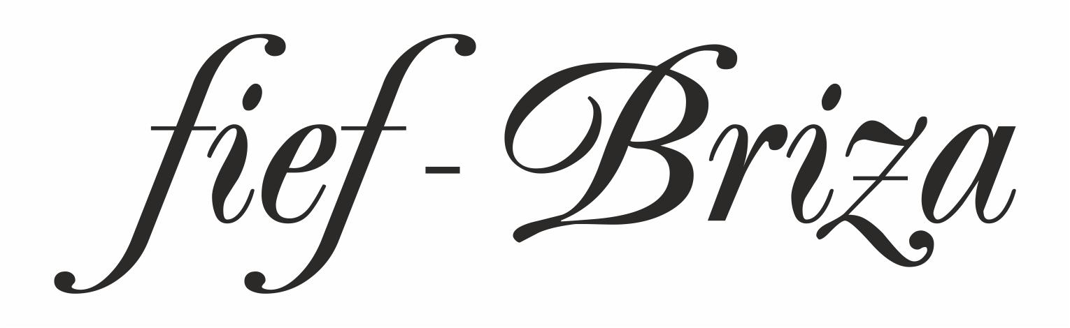 fief-BRIZA