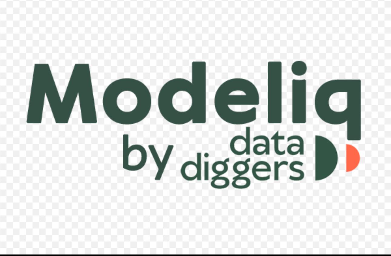 Modeliq by data diggers